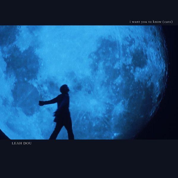 Single/EP cover of "I Want You To Know (Cats)" by Leah Dou