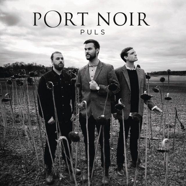 Album cover of "Puls" by Port Noir