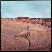 Portada de Álbum "Strays", de Margo Price