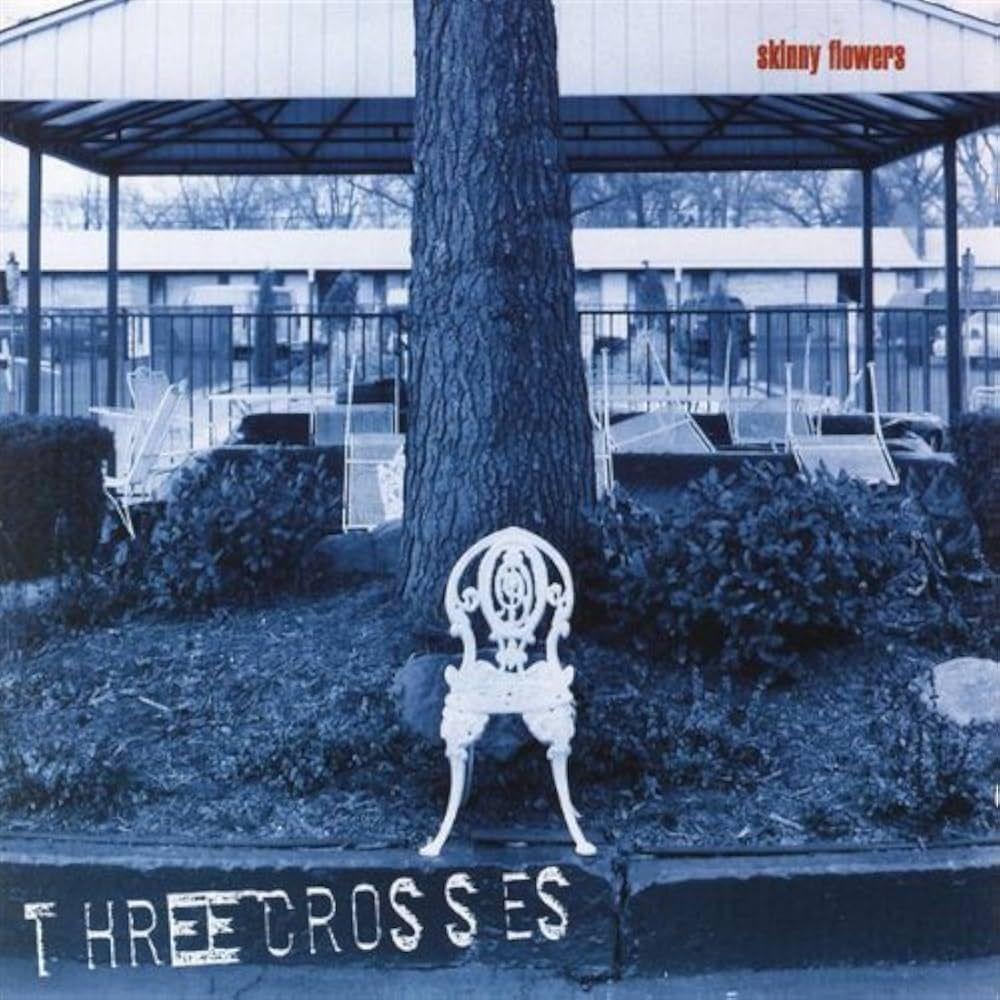 Capa do Álbum "Skinny Flowers", de Three Crosses