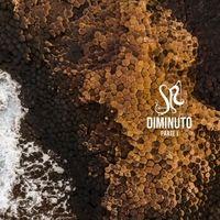 Portada de Álbum "Diminuto, Pt. 1", de Guilherme de Sá