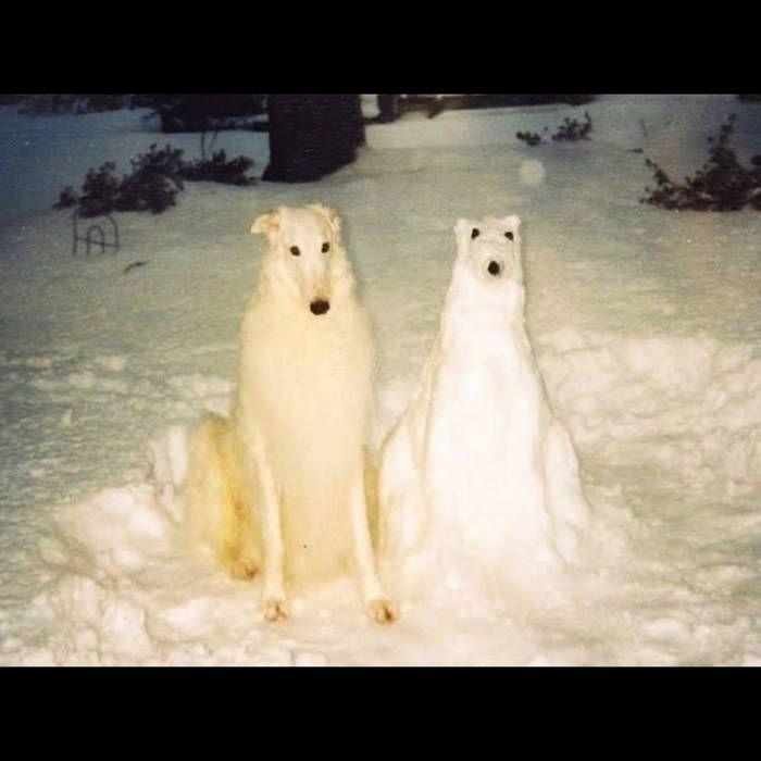 Portada de Álbum "Boyhood", de Birth Day