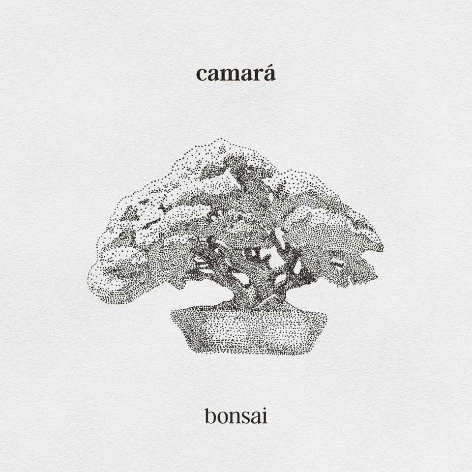 Portada de Álbum "Bonsai", de Camará