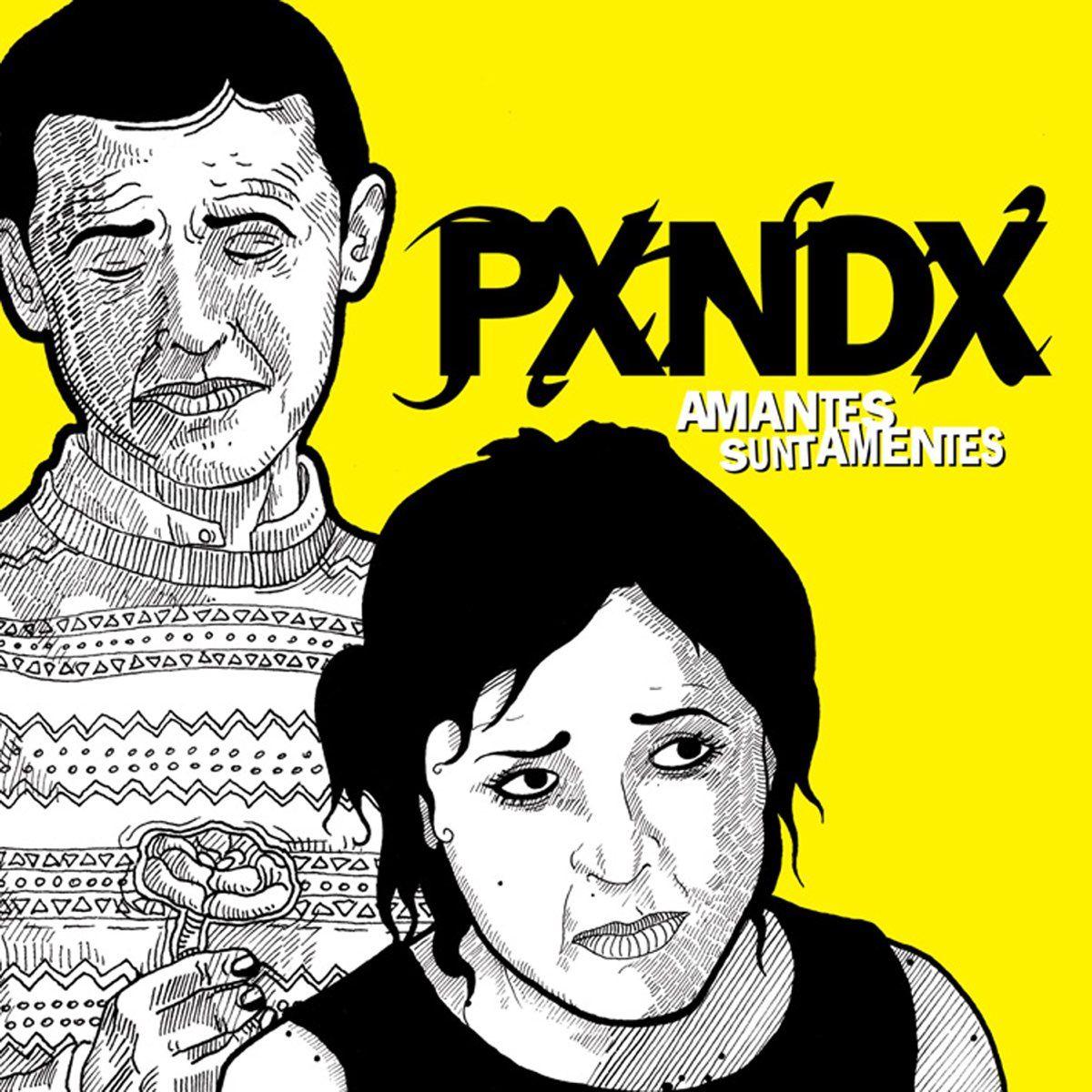 Portada de Álbum "Amantes Sunt Amentes", de PXNDX