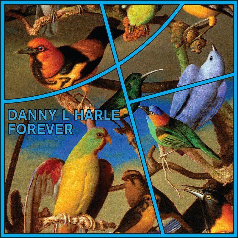 Portada de Sencillo/EP "Forever", de Danny L Harle