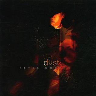 Album cover of "Dust" by Peter Murphy