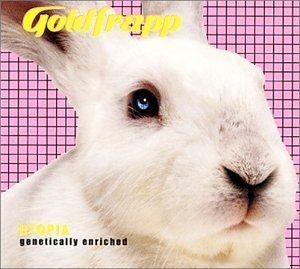 Portada del álbum "Felt Mountain", de Goldfrapp