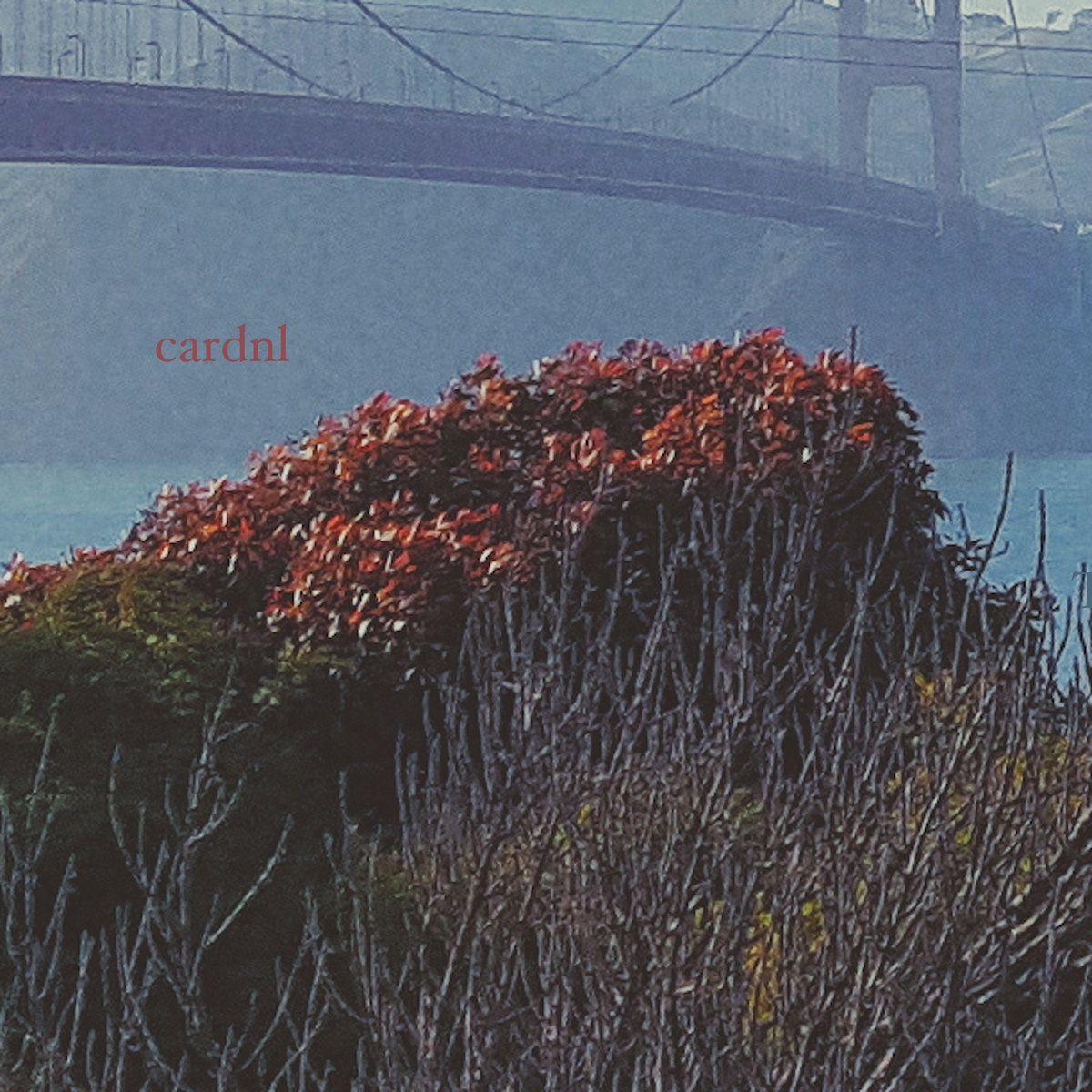 Capa do Álbum "Nothing Is Happening and Still We Keep Changing", de cardnl