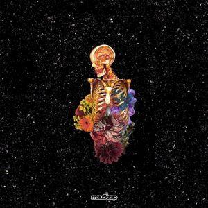 Capa do Álbum "Visceral", de Getter