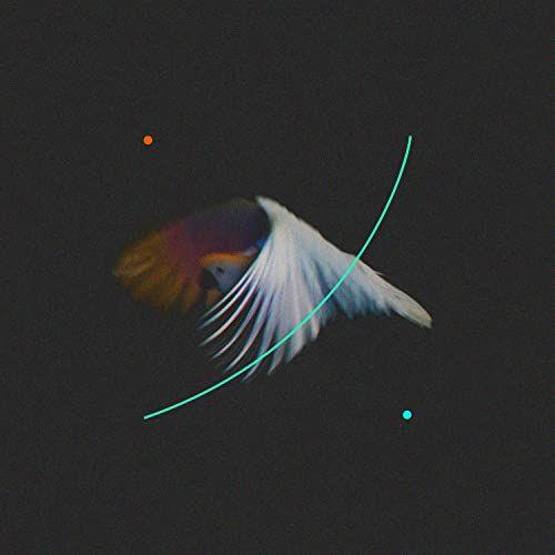 Portada de Sencillo/EP "Search Me", de Ben Potter