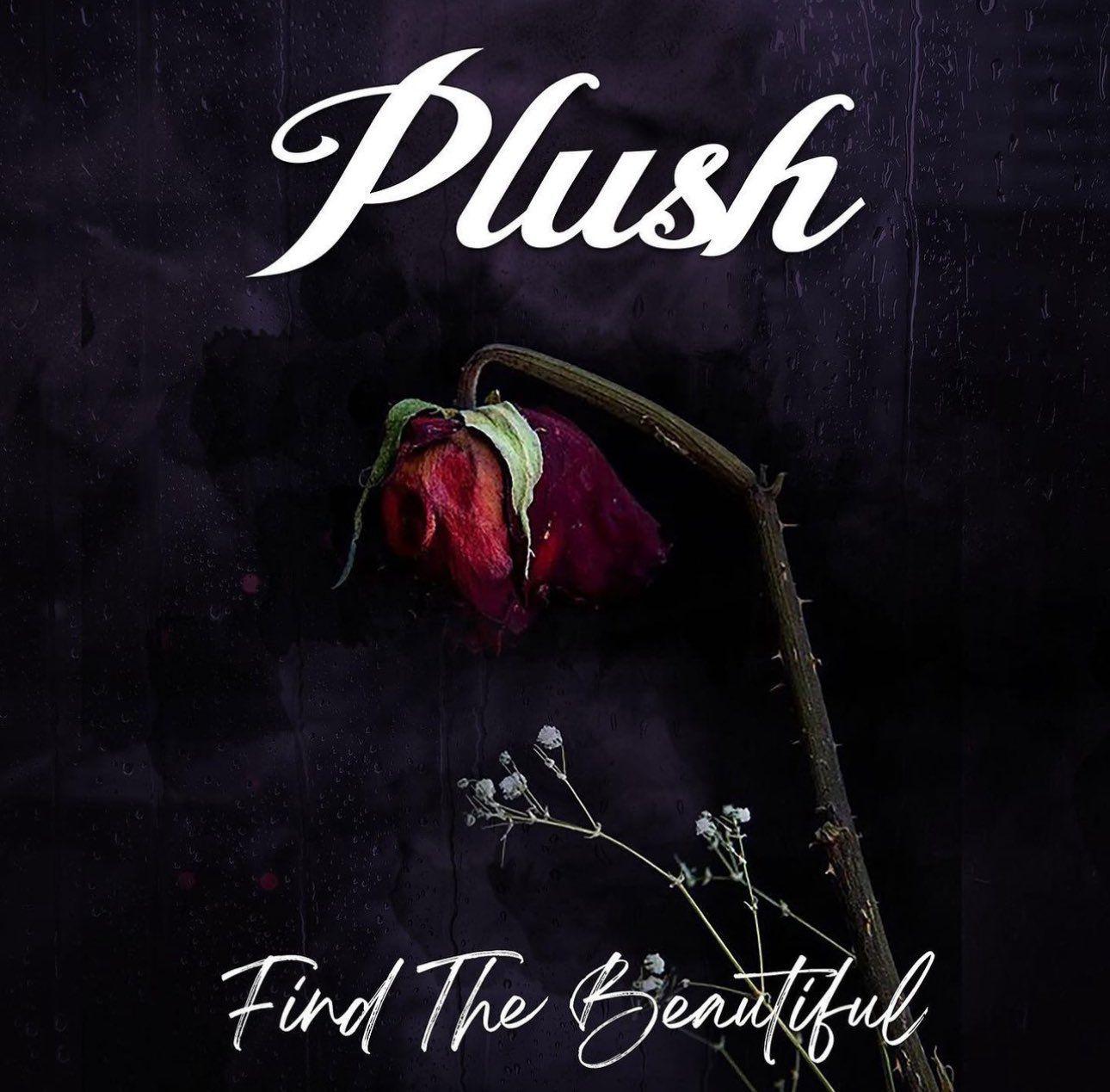 Capa do Single/EP "Find The Beautiful", de Plush