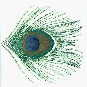 Capa do Álbum "Apple Venus Volume 1", de Xtc