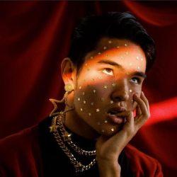 Capa do Álbum "Perfectionist", de Will Jay