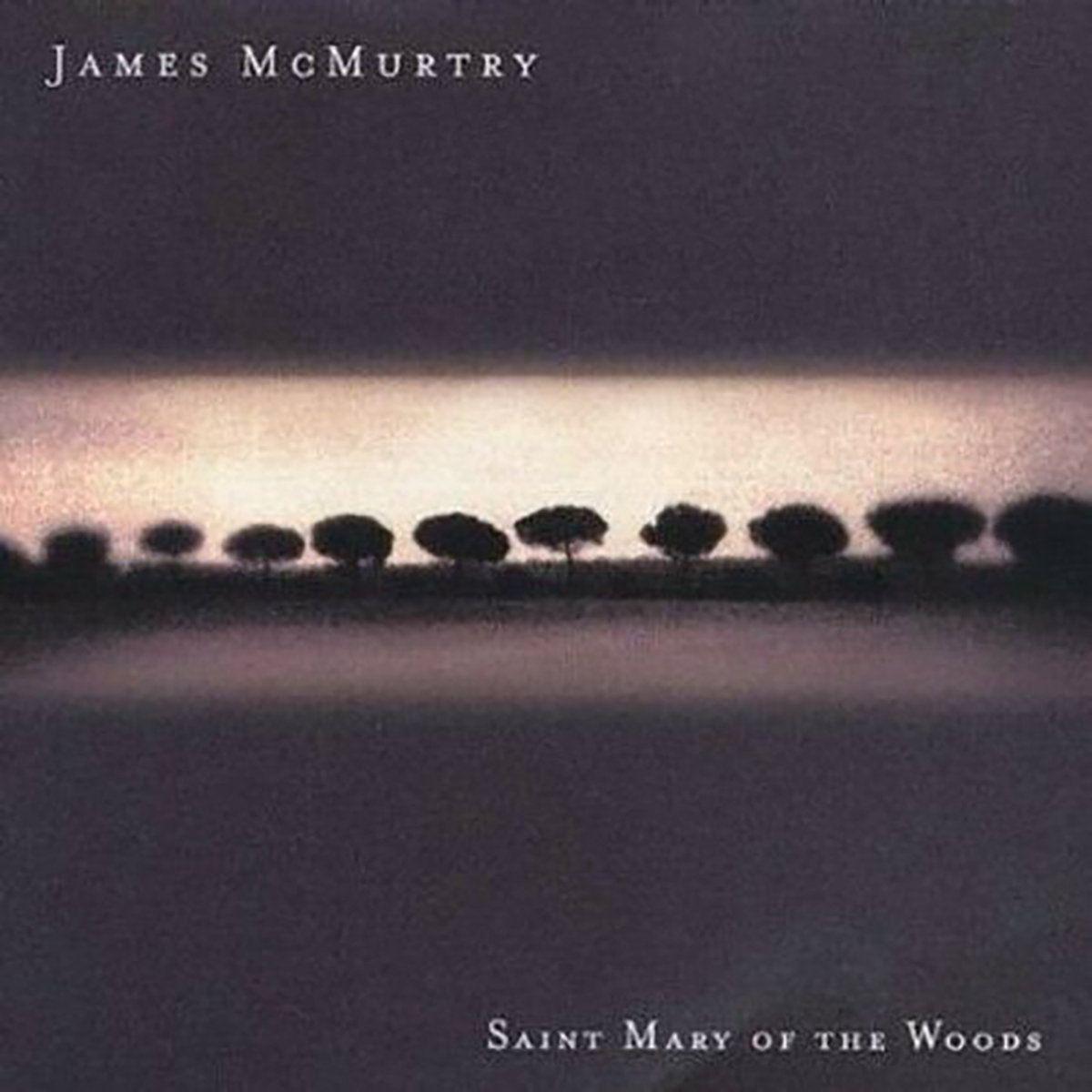 Portada de Álbum "Saint Mary Of The Woods", de James McMurtry