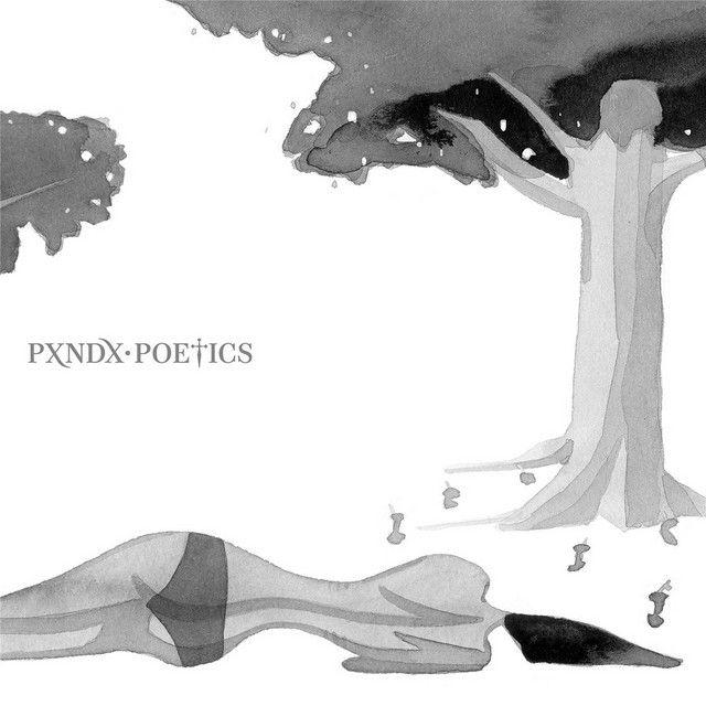 Portada de Álbum "Poetics", de PXNDX