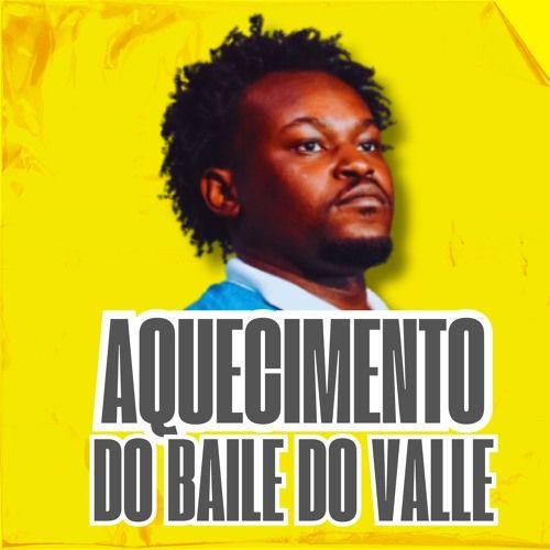 Portada de Álbum "AQUECMIENTOS DO BAILE DO VALLE", de DJ Renan Valle