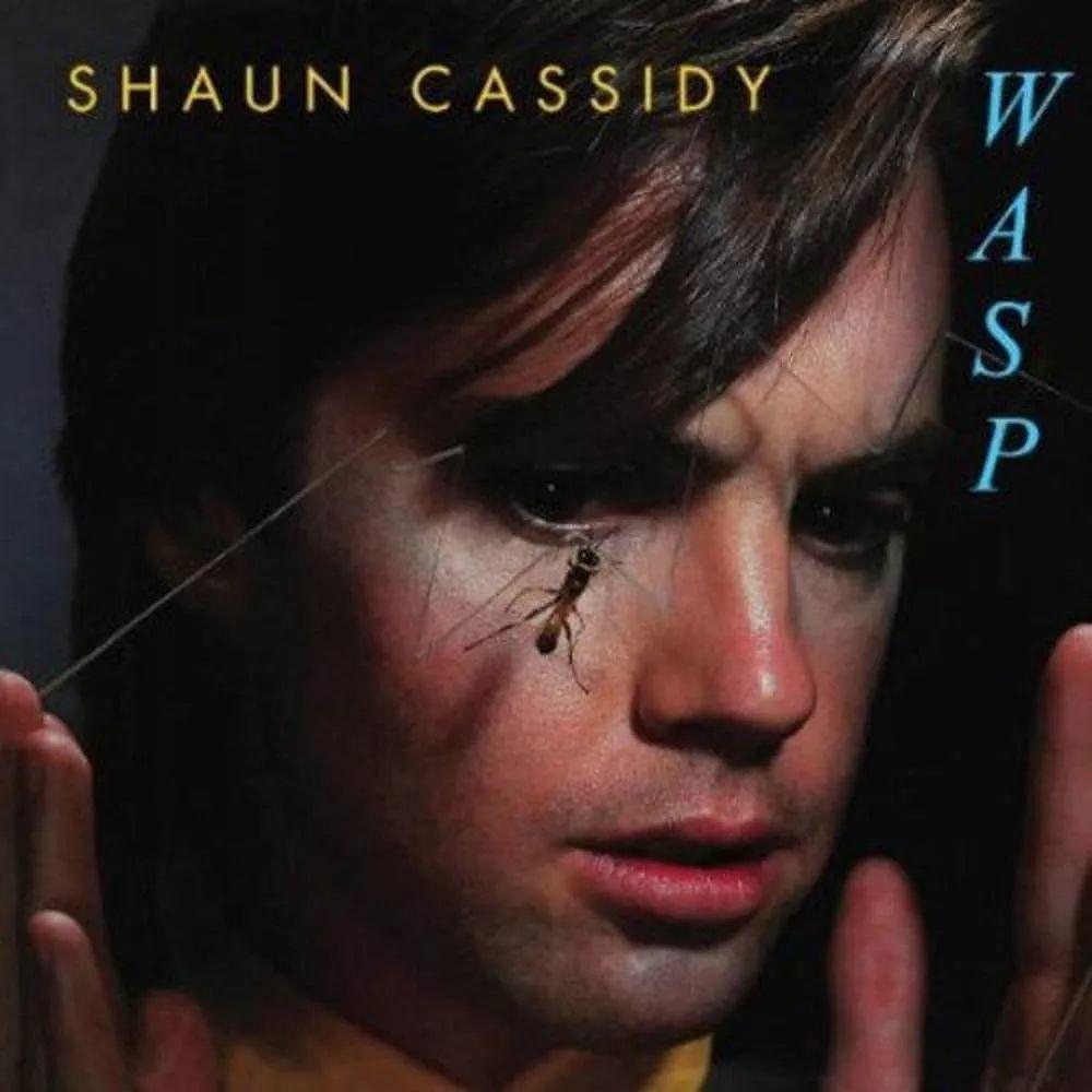 Album cover of "Wasp" by Shaun Cassidy
