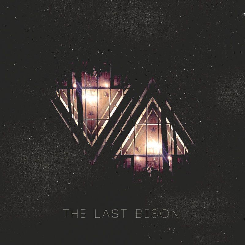 Portada de Álbum "VA", de The Last Bison
