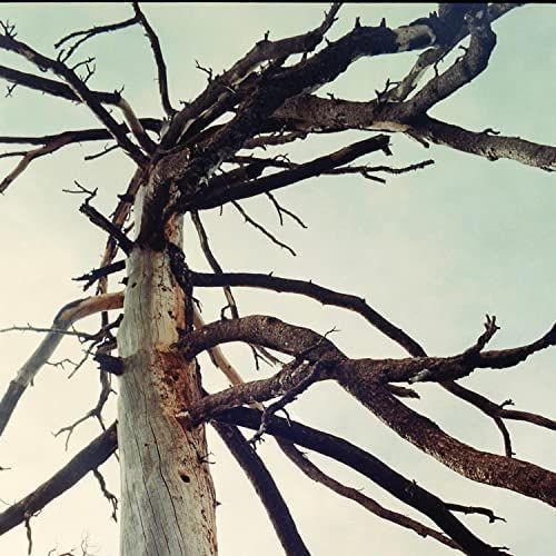 Portada de Sencillo/EP "Skips & Rings", de Crane Like The Bird