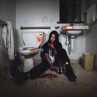 Capa do Single/EP "Warning Signs", de Ally Nicholas