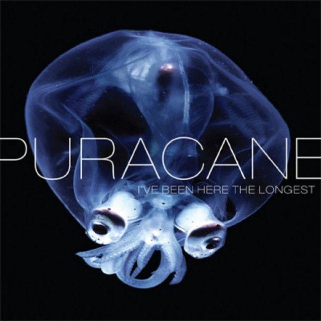 Portada de Álbum "I've Been Here the Longest", de Puracane