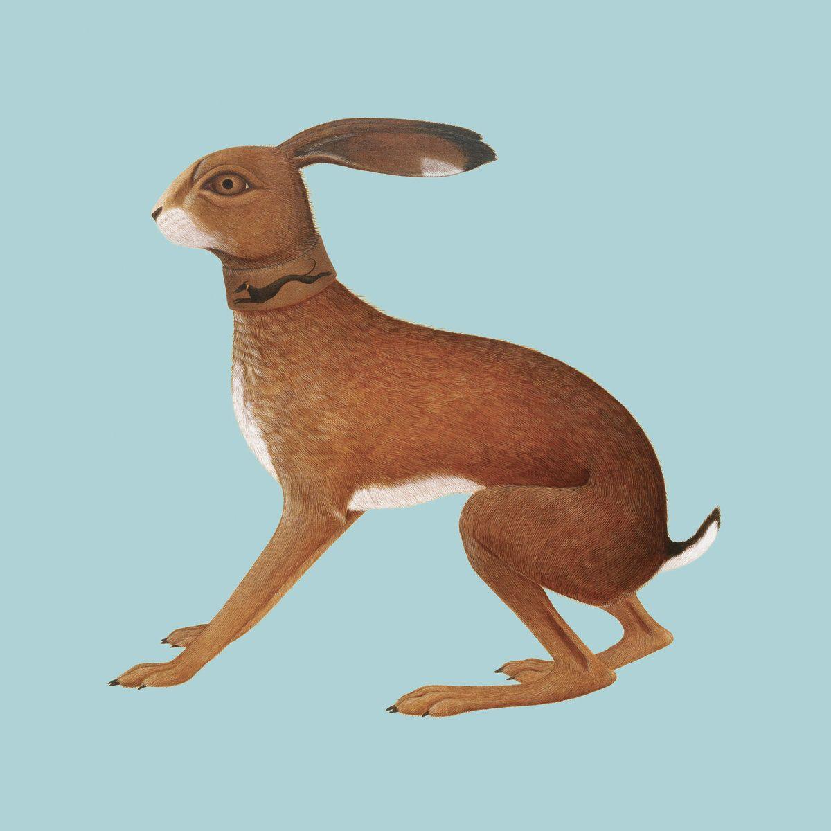Album cover of "Lookaftering – Expanded Edition" by Vashti Bunyan