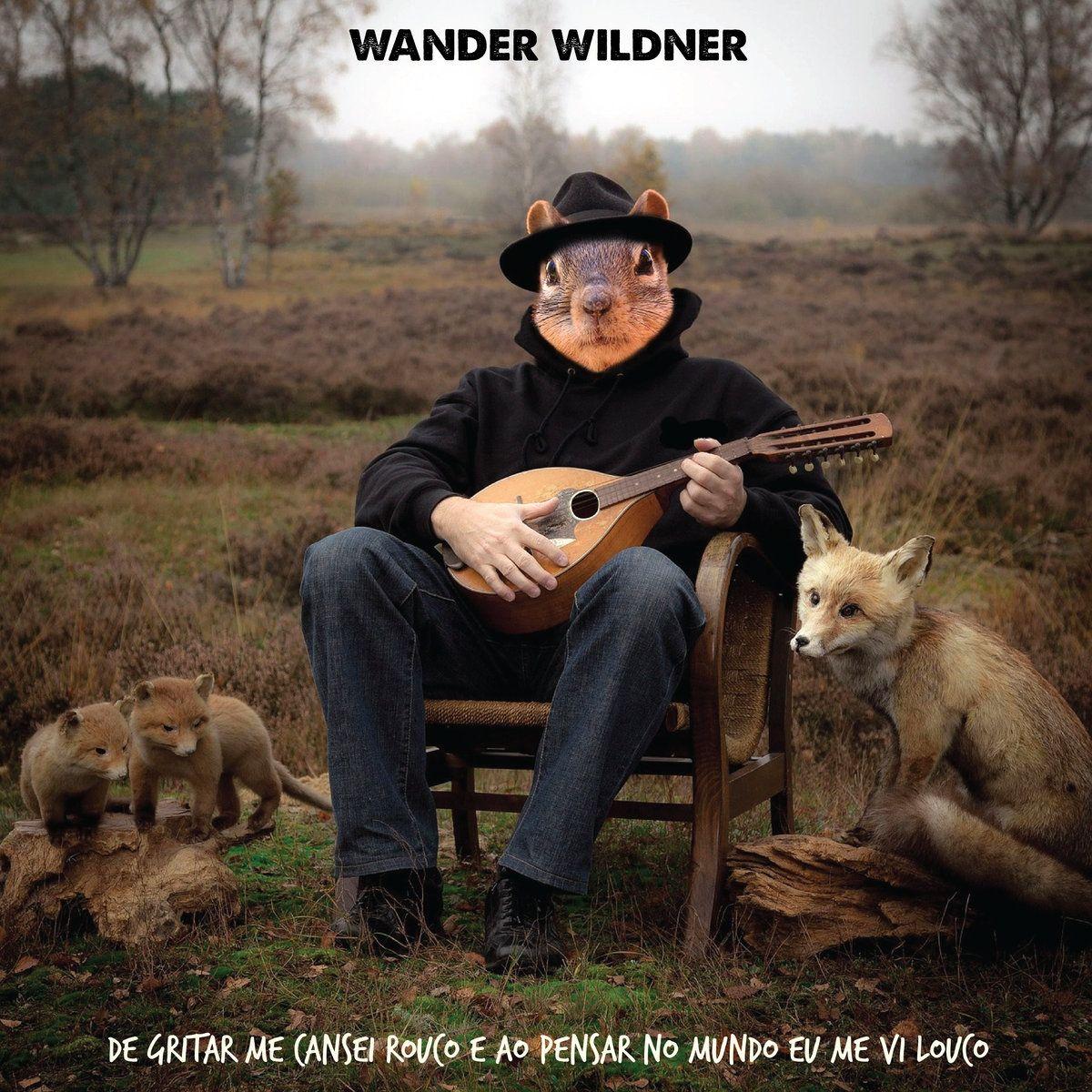 Portada de Álbum "De Gritar Me Cansei Rouco e Ao Pensar No Mundo Eu Me Vi Louco", de Wander Wildner