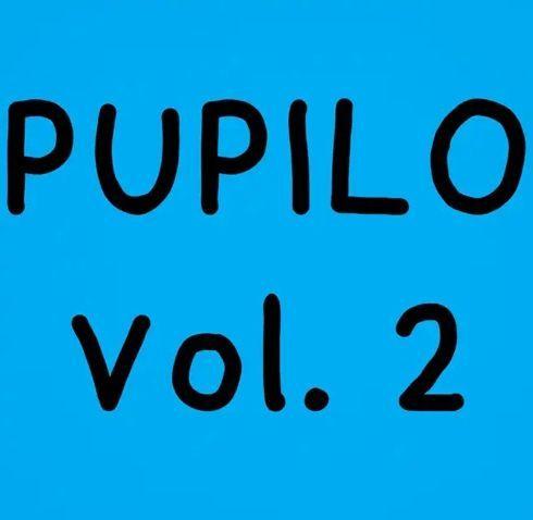 Capa do álbum "Pupilo (Vol. 2)", de Ferbinho