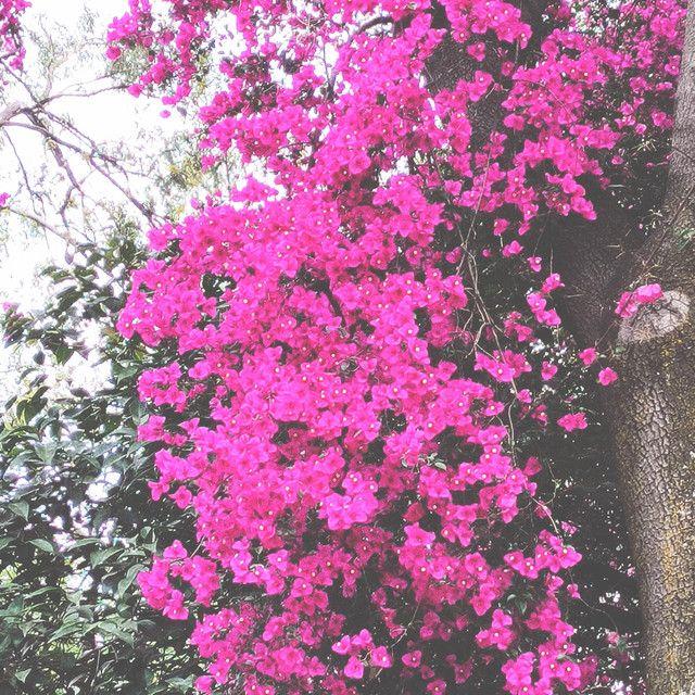 Portada de Álbum "compilation four", de Sadness