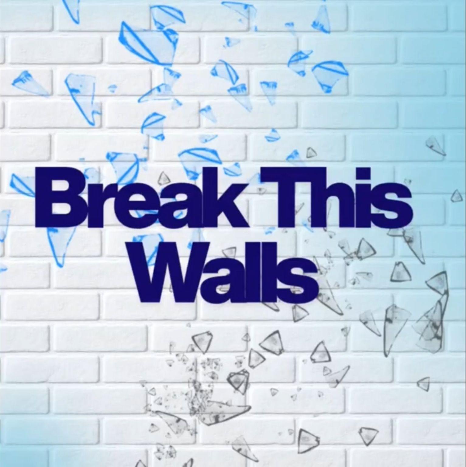 Portada del álbum "Break These Walls", de 3INSECT
