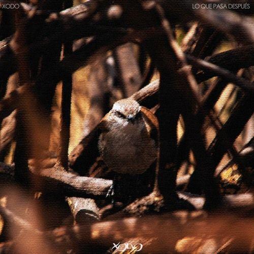 Capa do Single/EP "Lo q pasa después", de Xodó