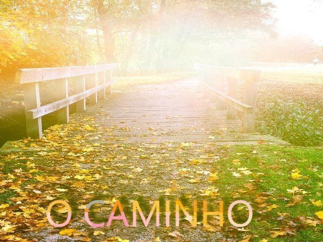 Portada de Álbum "O Caminho", de Francisco José Gomes