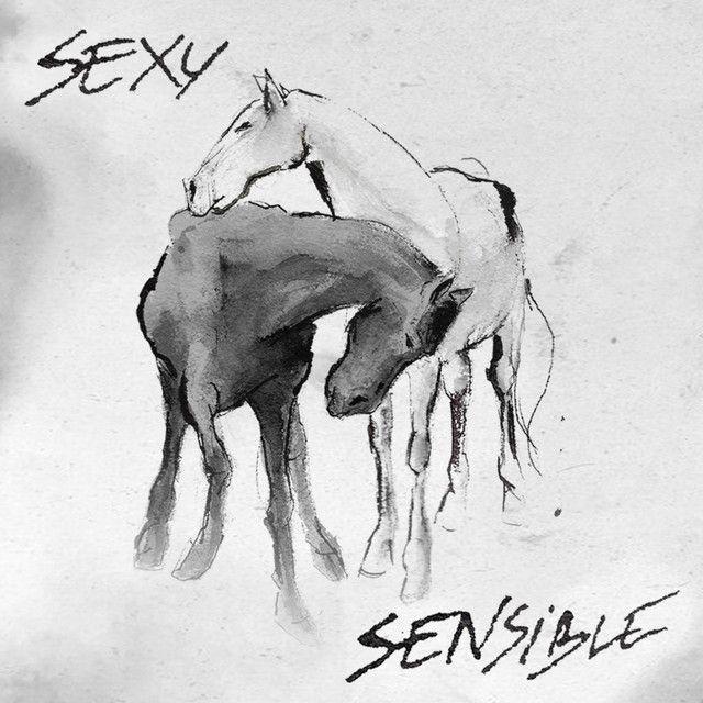 Portada de Álbum "SexySensible", de Mushkaa