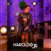 Portada de Álbum "Haroldo Jr. Ao Vivo", de Haroldo Jr