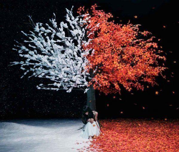 Portada de Sencillo/EP "Akane Sasu/Everlasting Snow", de Aimer