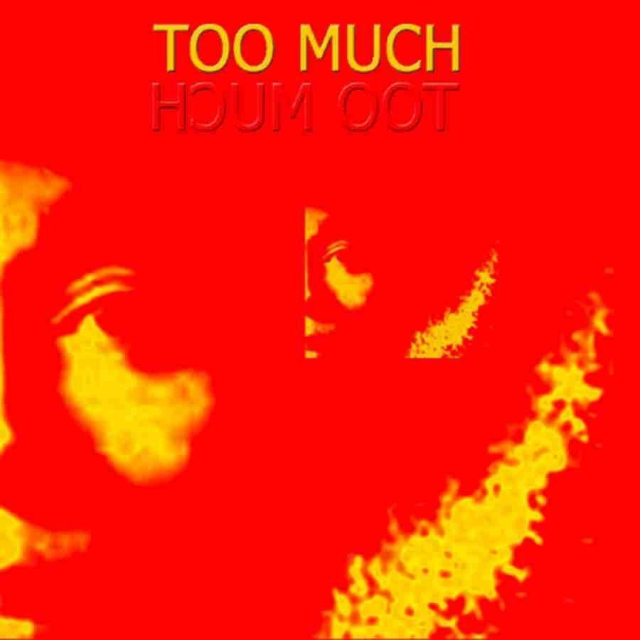 Capa do Álbum "Too Much", de Too Much