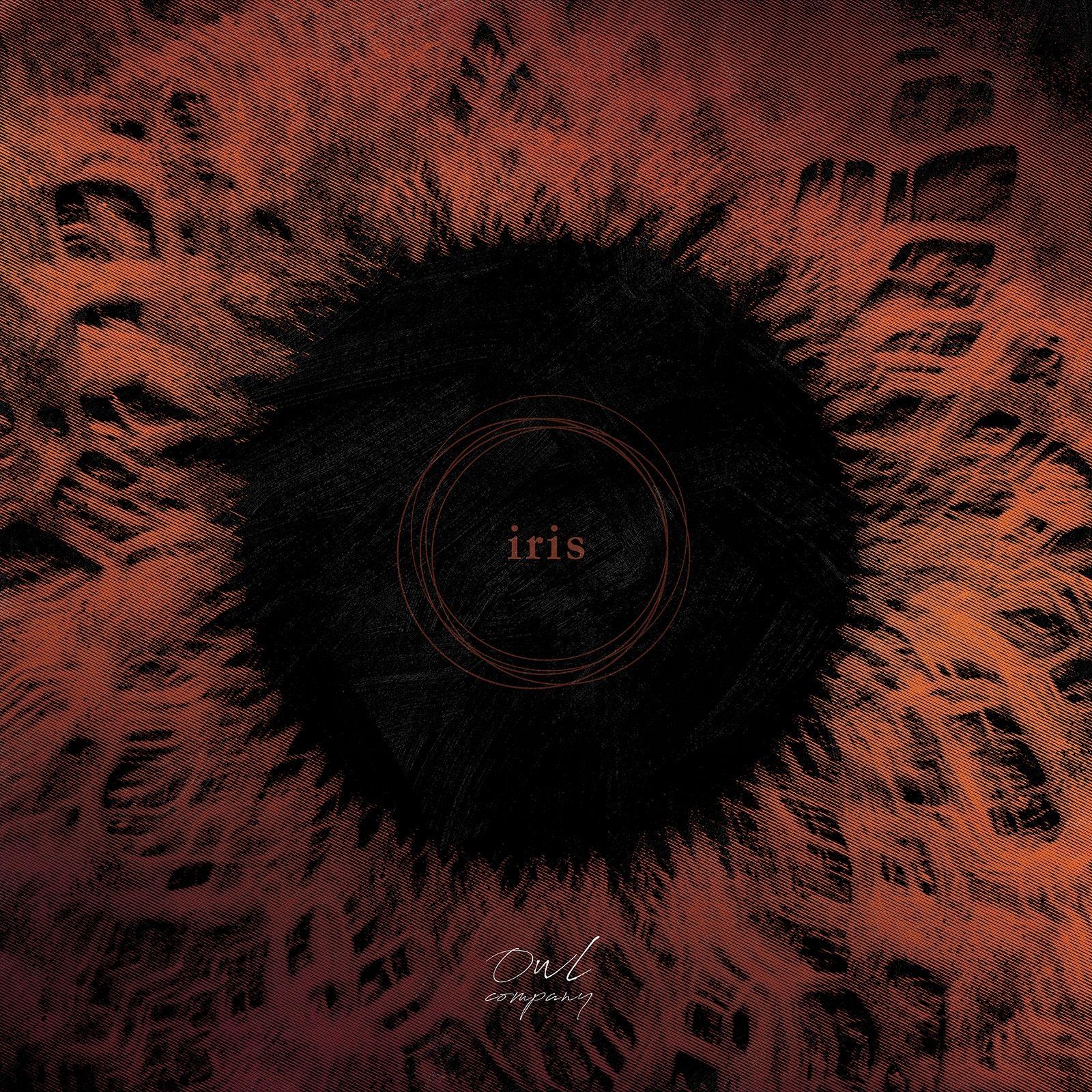 Album cover of "Iris" by Owl Company