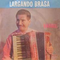 Portada de Álbum "Largando Brasa", de Nardelli