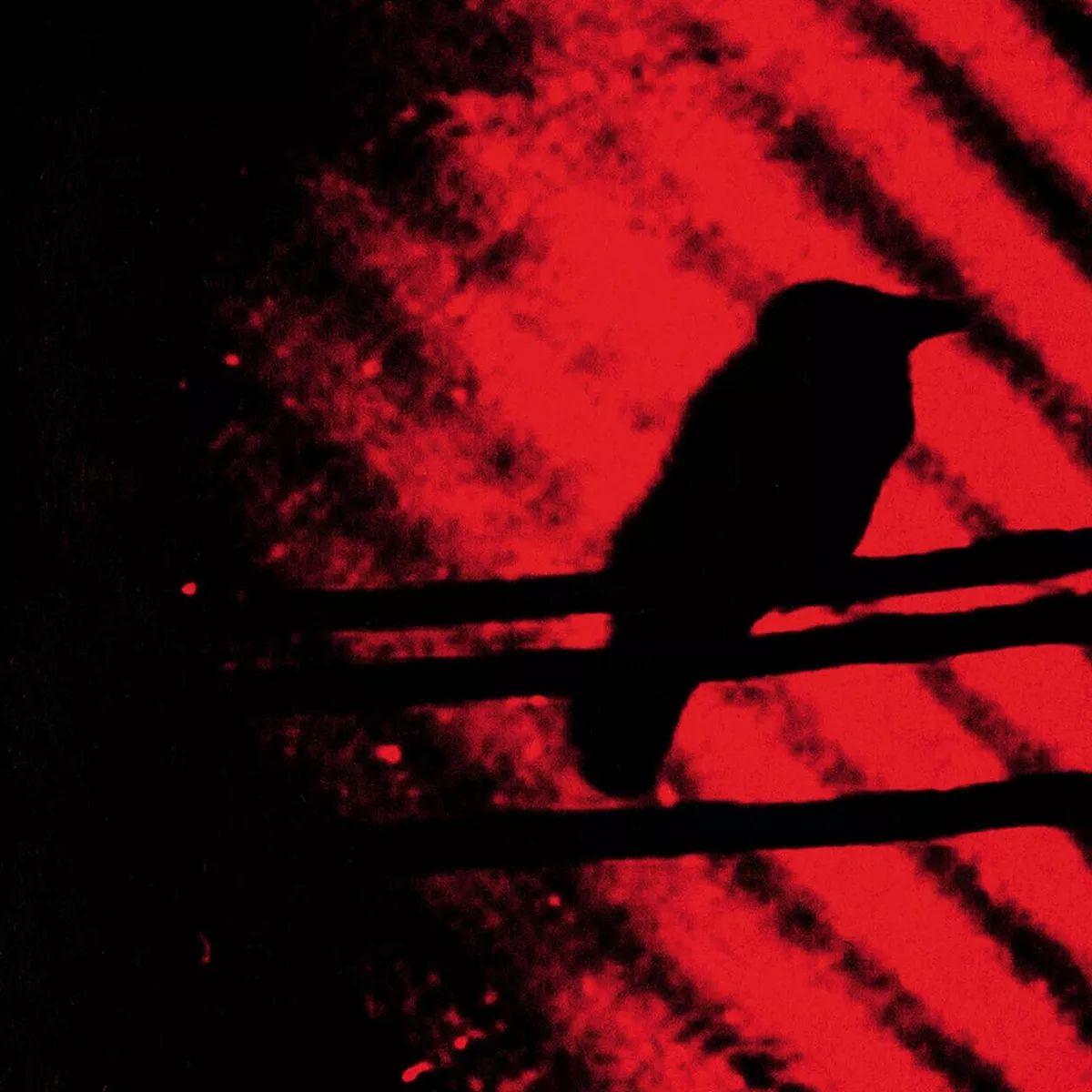 Capa do Álbum "Born into Trouble as the Sparks Fly Upward", de A Silver Mount Zion