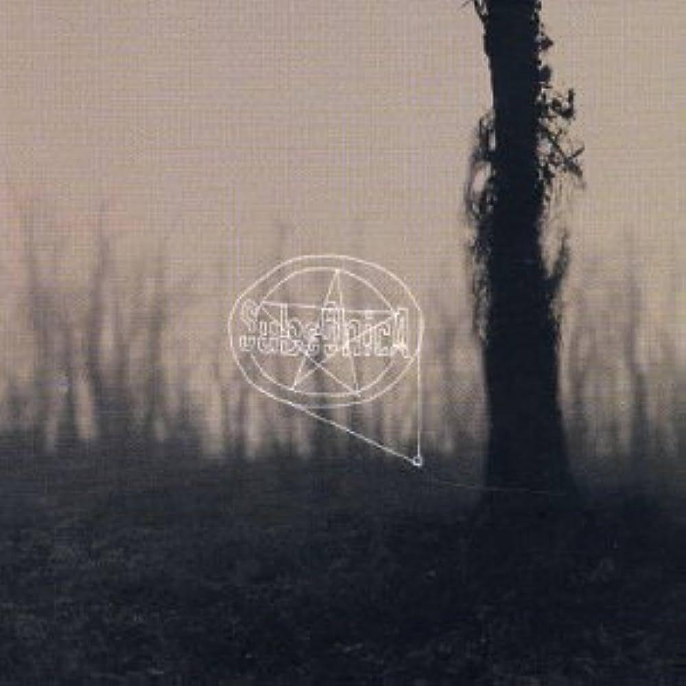 Portada de Álbum "Controllo Del Livello Di Rombo", de Subsonica