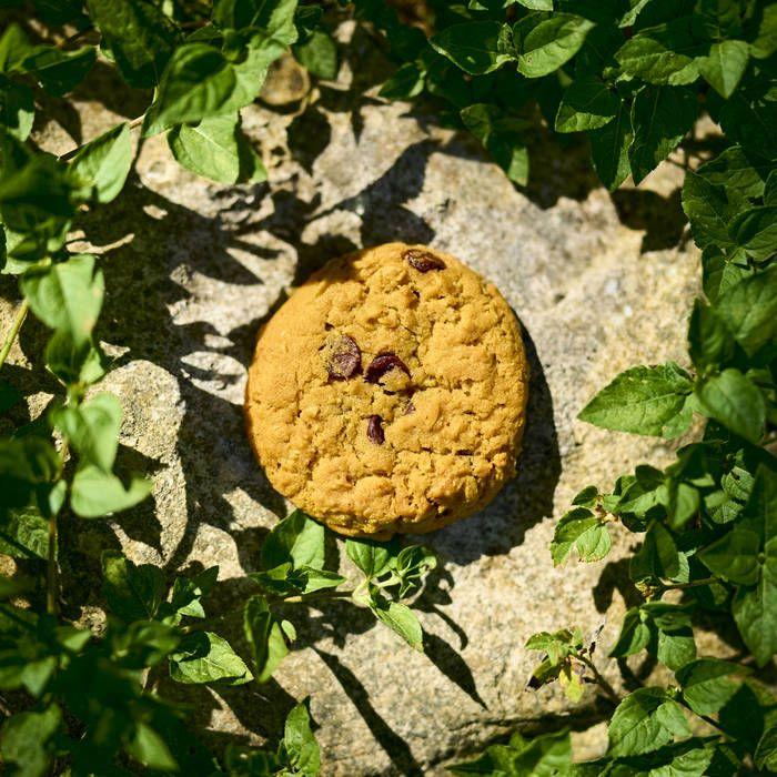 Capa do álbum "Cookie Clicker", de C418