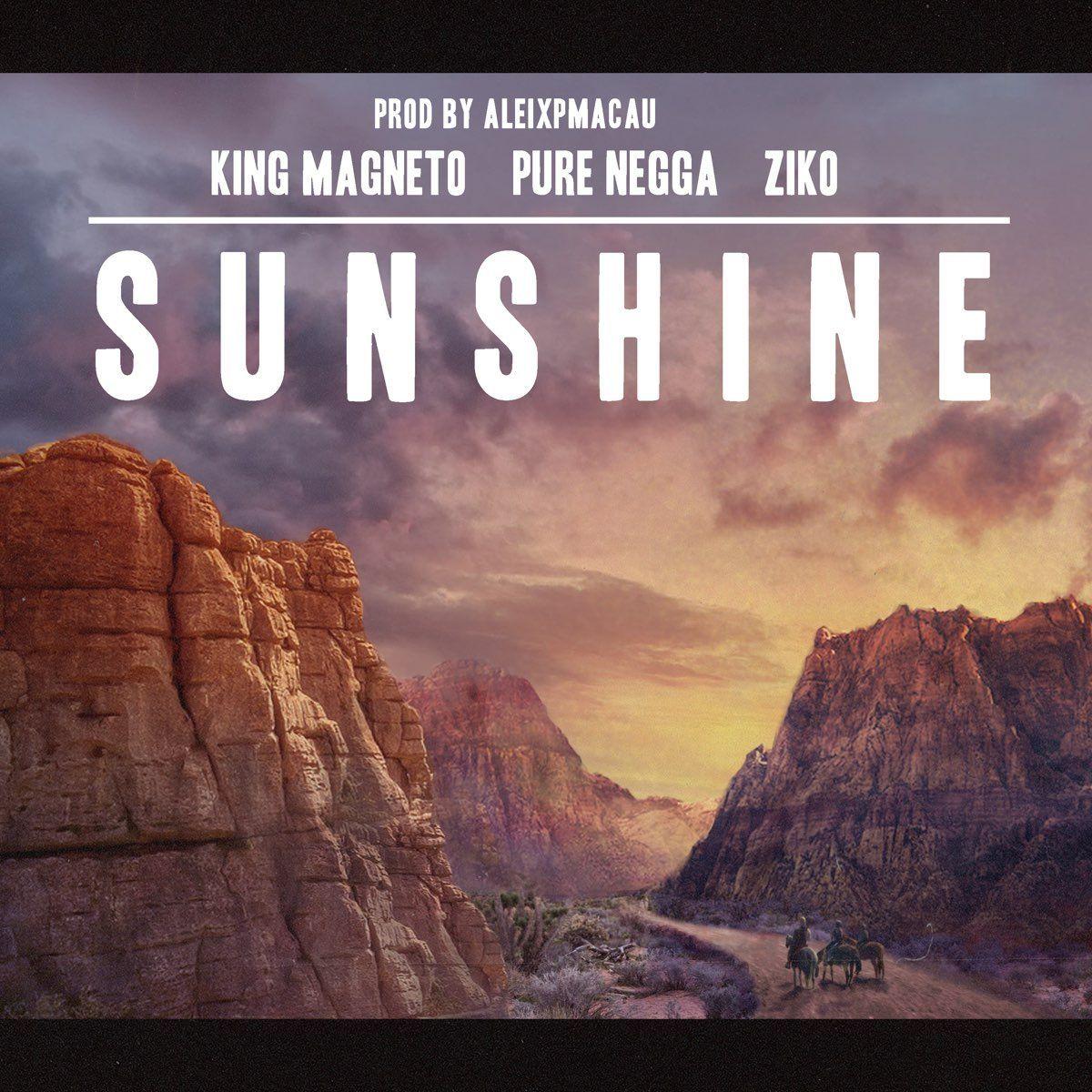 Album cover of "Sunshine" by Pure Negga
