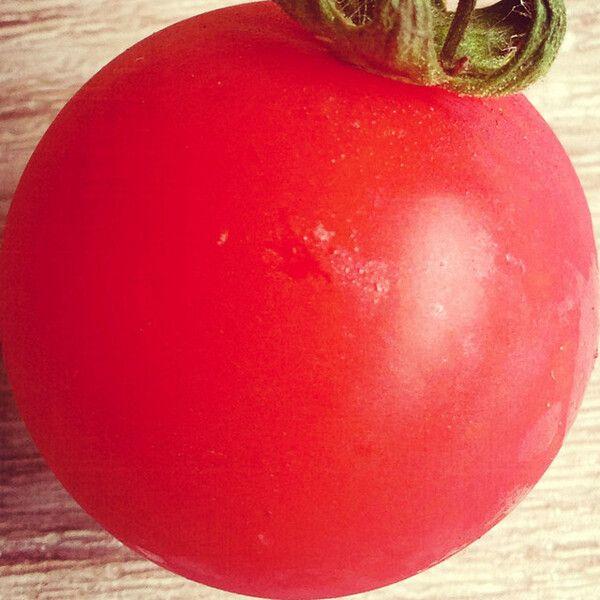 Capa do Álbum "pomodorosa", de pomodorosa