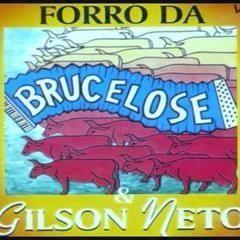 Portada de Álbum "Volume 3", de Brucelose