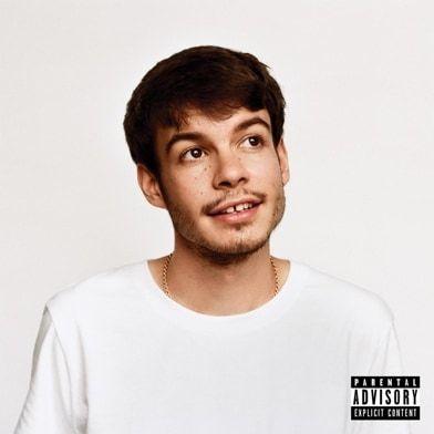 Capa do Álbum "Pony", de Rex Orange County