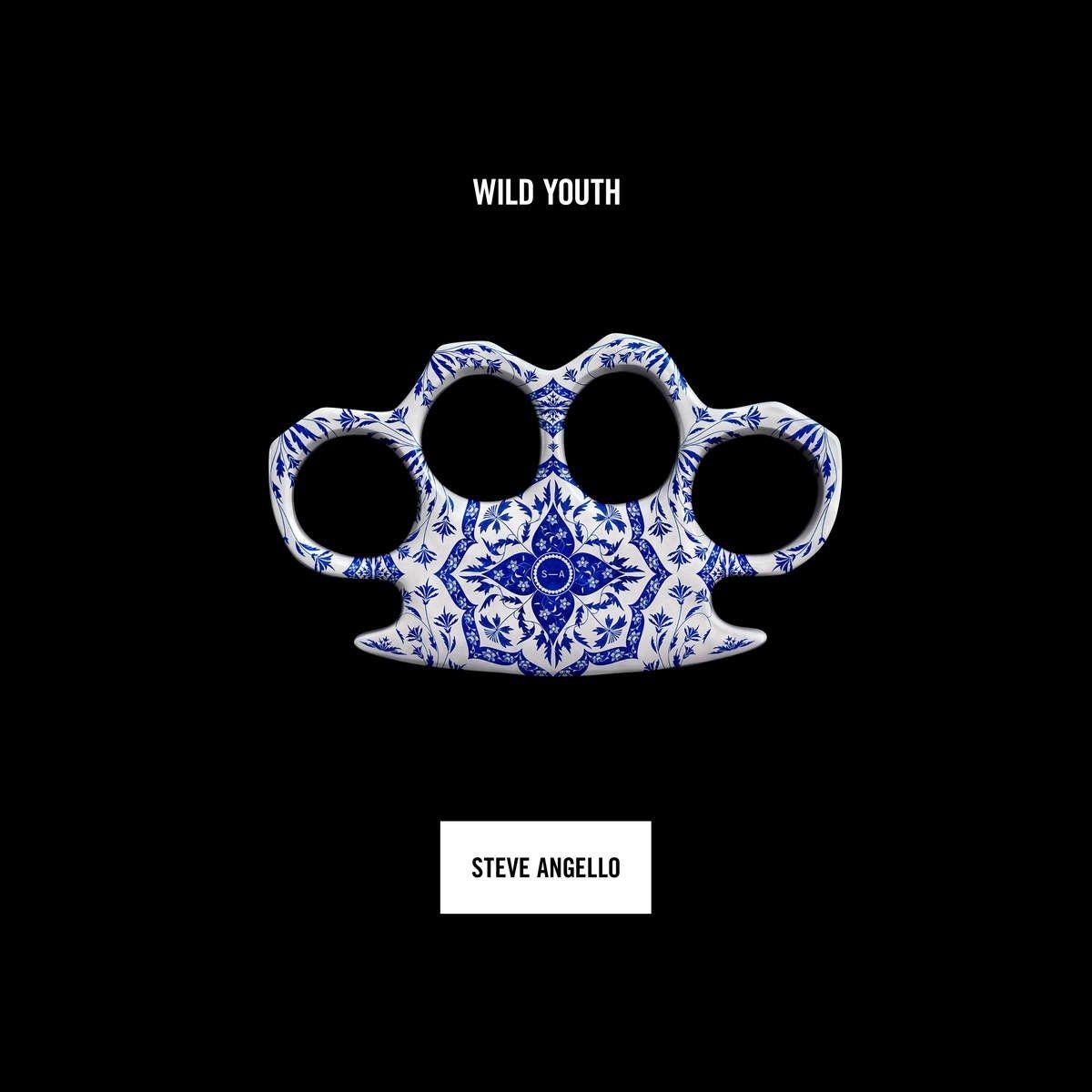 Portada de Álbum "Wild Youth", de Steve Angello