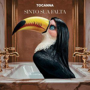Album cover of "Sinto Sua Falta" by Tocanna