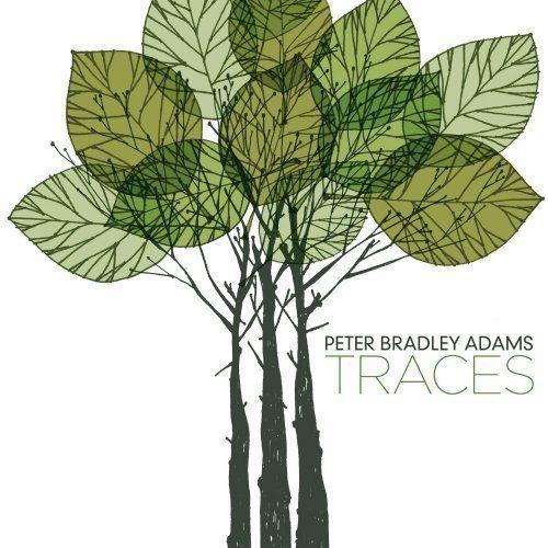 Album cover of "Traces" by Peter Bradley Adams