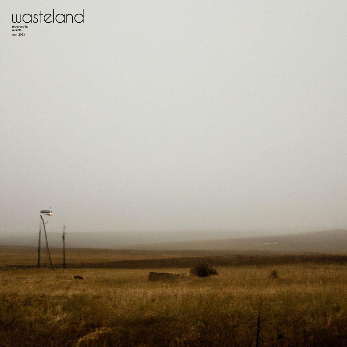 Capa do Single/EP "wasteland", de Aurenth