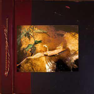 Portada de Álbum "Água, Fogo, Terra e Ar", de Picanha De Chernobill